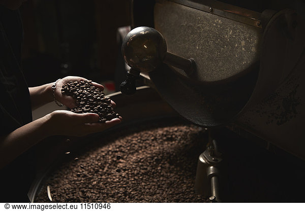Ein Kaffeehaus. Eine Person  die eine Handvoll frisch gerösteter Bohnen über eine Metalltrommel voller Kaffeebohnen hält.