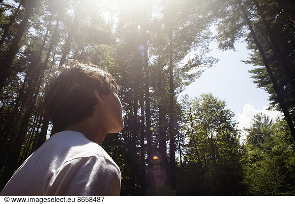 Ein kleiner Junge spielt im Kiefernwald  umgeben von hohen geraden Baumstämmen.