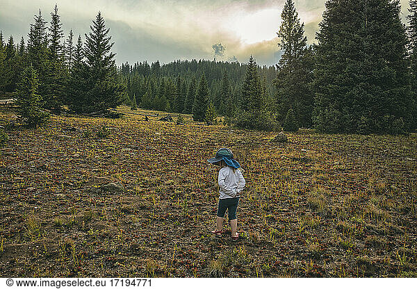 Ein kleines Kind erkundet die Wildnis von Colorado