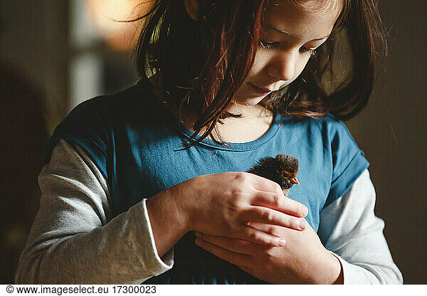 Ein kleines Mädchen hält sanft ein winziges Küken in den Händen