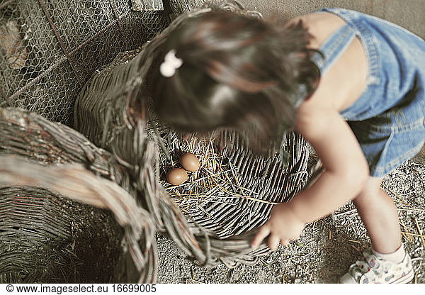 Ein kleines Mädchen sammelt Bio-Eier
