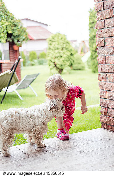 Ein kleines süßes Mädchen im Hof  das einen weißen kleinen Hund küsst