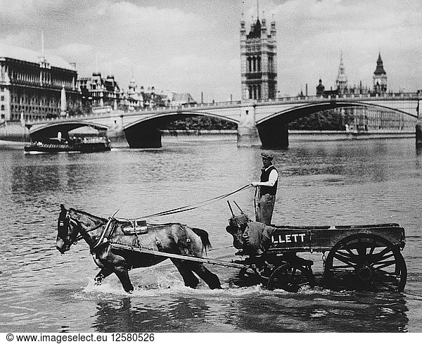 Ein Kutscher und sein Pferd nehmen ein Bad in der Themse vor White Hart Wharf  London  1937. Künstler: Unbekannt