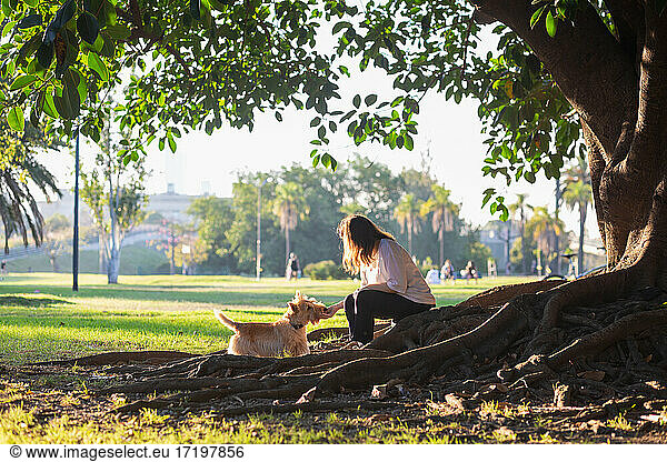 Ein Mädchen mit Hund sitzt auf den Wurzeln eines riesigen Ficus-Baumes im Stadtpark