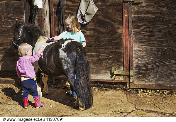Ein Mädchen und ein Kleinkind  die in einem Stall ein Pony pflegen.