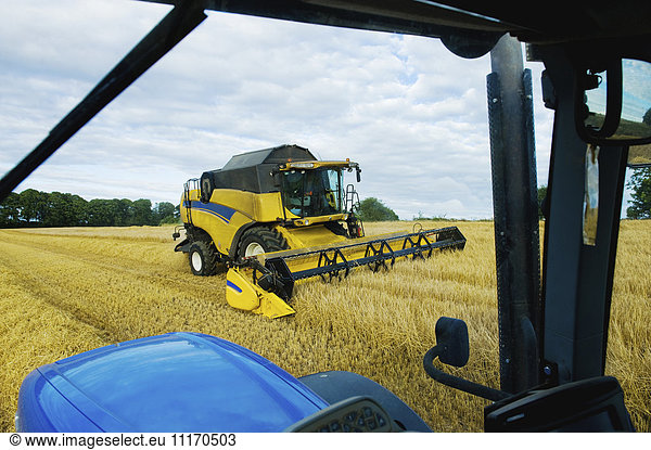 Ein Mähdrescher  der neben einem Traktor auf einem Feld an einem Erntegut arbeitet.