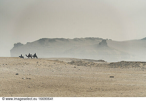 Ein Mann auf dem Rücken eines Pferdes und zwei auf dem Rücken eines Kamels reiten durch die Wüste von Gizeh