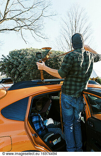Ein Mann befestigt Gurte  um den Weihnachtsbaum für den Transport auf dem Auto vorzubereiten