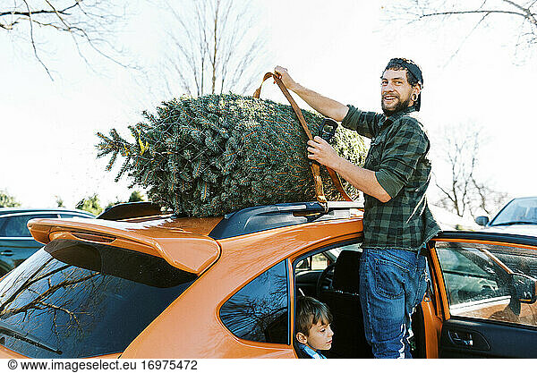 Ein Mann befestigt Gurte  um den Weihnachtsbaum für den Transport auf dem Auto vorzubereiten