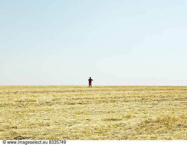 Ein Mann  der am Horizont eines Stoppelfeldes steht.