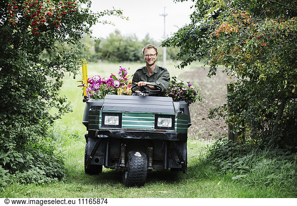 Ein Mann fährt ein kleines Gartenfahrzeug auf dem Weg zwischen Blumenbeeten beladen mit Schnittblumen für kommerzielle Bestellungen und Blumenarrangements.