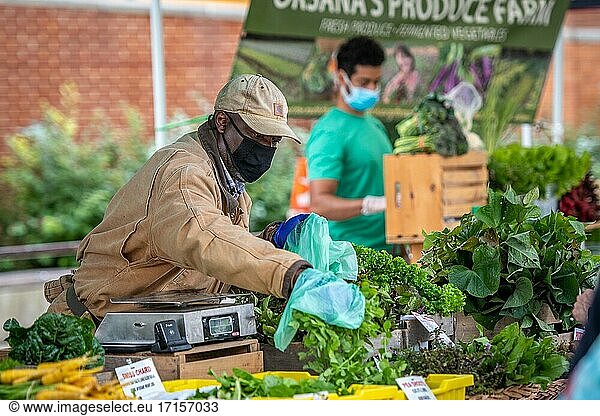 Ein Mann mit Gesichtsmaske wählt auf dem Silver Spring Farmers Market in Silver Spring  MD  frisches Grünzeug aus.