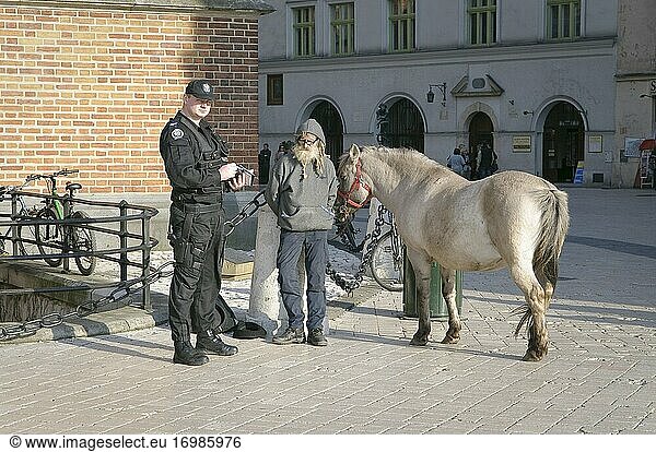 Ein Polizeibeamter gibt einem Mann mit Pony  der auf dem Marktplatz in Krakau  Polen  Geld von Touristen sammelt  ein Ticket.