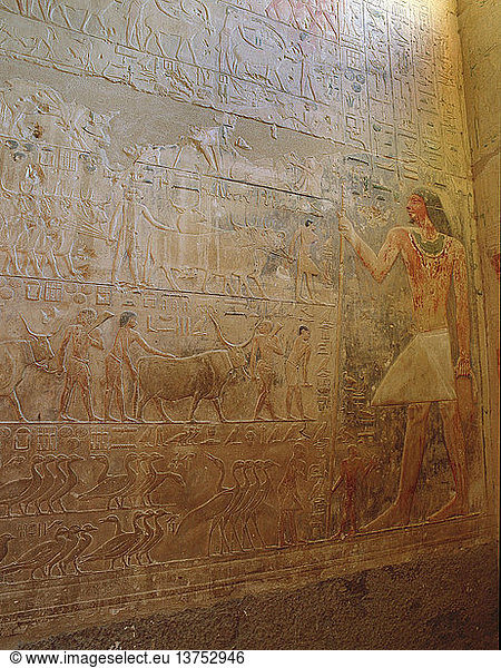 Ein Relief aus dem Grab des Wesirs Ptah hotep in Saqqara. Im oberen Fries sind Männer zu sehen  die Rinder hüten  im unteren eine Schar von Störchen. Ägypten. Alt-Ägyptisch. 5. Dynastie um 2494 2345 v. Chr. Saqqara.