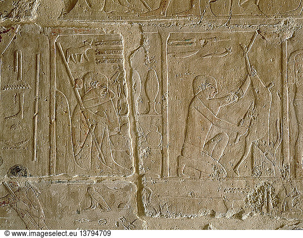 Ein Relief im Grab von Kagemni  das einen Mann darstellt  der ein Tier  vielleicht eine Antilope  schlachtet  Ägypten. Altägyptisch. 6. Dynastie um 2345 2181 v. Chr. Saqqara.