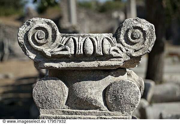 Ein Säulenkopf in Ephesus