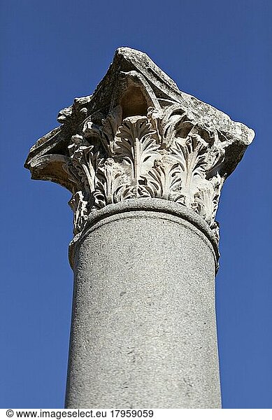 Ein Säulenkopf in Ephesus