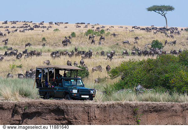 Ein Safari-Fahrzeug in der Masai Mara National Reserve Kenia Afrika