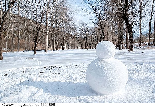 Ein Schneemann im Schnee