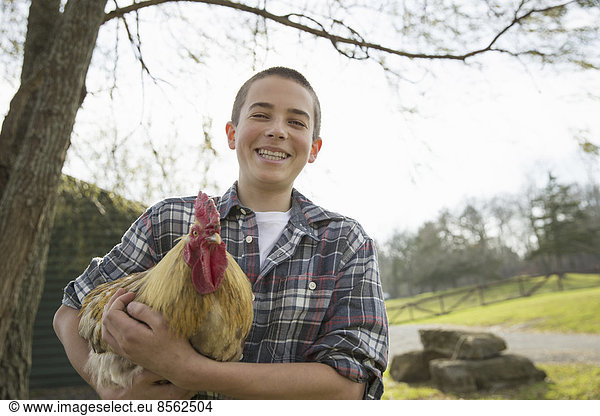 Ein Tierschutzgebiet. Ein Junge hält ein Huhn mit braunen Federn und rotem Hahnenkamm.