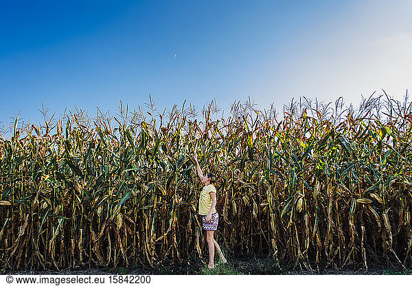 Ein Tween greift nach Mais in einem Maisfeld