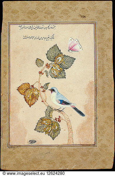 Ein Vogel auf einem Haselzweig. Künstler: Shafi Abbasi  Muhammad (1628-c. 1674)
