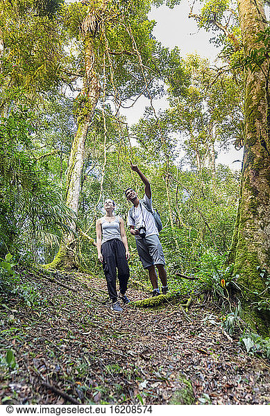 Ein Wanderer und ein Führer  der auf einer Regenwaldsafari nach Tieren Ausschau hält  Minas Gerais  Brasilien  Südamerika