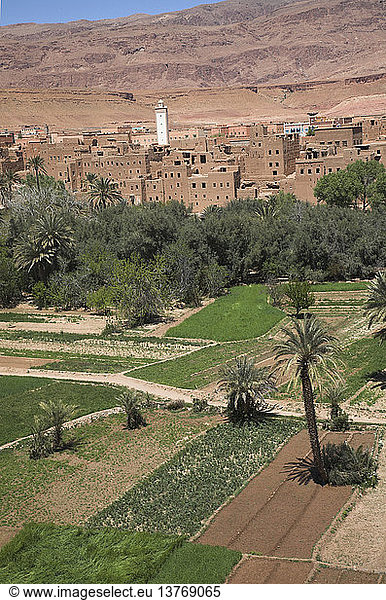 Eine Berber-Oasenstadt an den südöstlichen Ausläufern des Atlasgebirges am Rande der Wüste Sahara  Tinerhir  Marokko