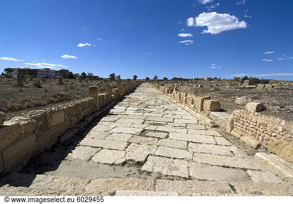 Eine der Hauptstraßen in die römische Ruine Sufetula  Tunesien  Nordafrika  Afrika