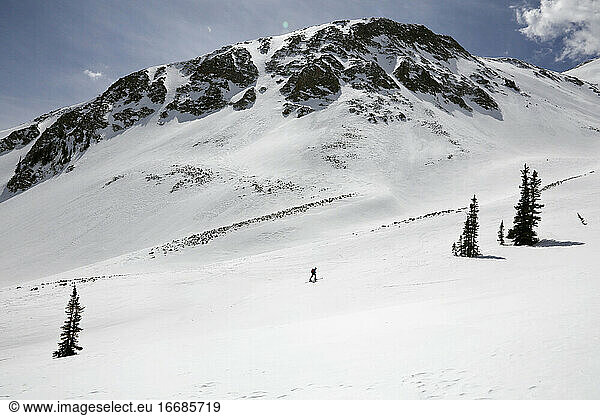 Eine Einzelperson fährt auf dem Mount Sopris in Carbondale  Colorado  Ski