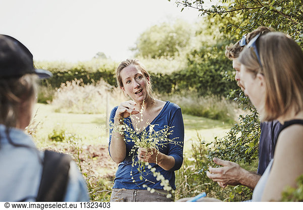 Eine Frau  die mit zwei Personen über sichere essbare Pflanzen spricht und frisch gepflückte Pflanzen hält.