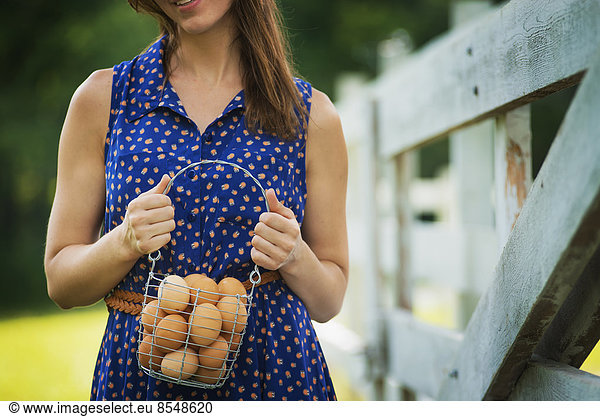 Eine Frau hält einen Korb mit Hühnereiern  die von den Hühnern auf einem Bauernhof gesammelt wurden.