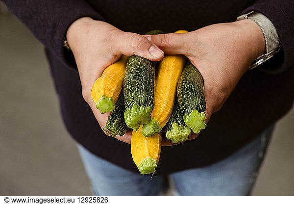 Eine Frau streckt ihre Hände aus und hält einen Strauß frisch gepflückter gelber und grüner Zucchini.