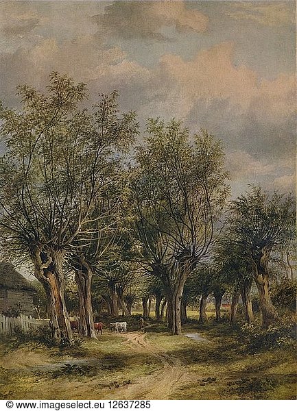 Eine Gasse bei Norwich  um 1837. Künstler: James Stark.
