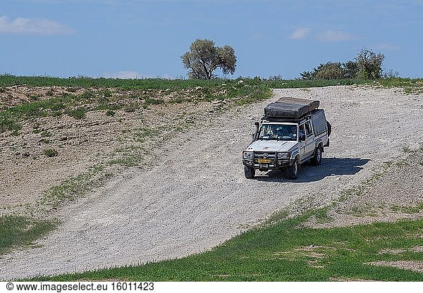 Eine Gruppe von Touristen fährt durch den Kgalagadi Transfrontier Park Kgalagadi Südafrika.