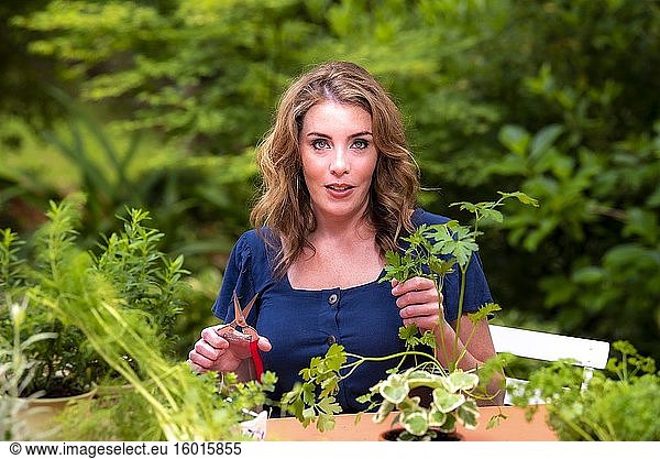 Eine hübsche 37-jährige rothaarige Frau in einem Garten  die eine getopfte Petersilienpflanze trimmt.