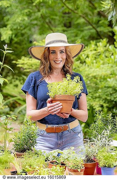 Eine hübsche 37-jährige rothaarige Frau in einem Garten  die eine kleine getopfte Buchsbaum-Basilikumpflanze hält.