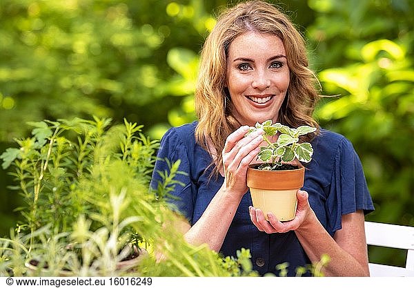 Eine hübsche 37-jährige rothaarige Frau in einem Garten  die eine kleine Plectranthus-Topfpflanze hält.