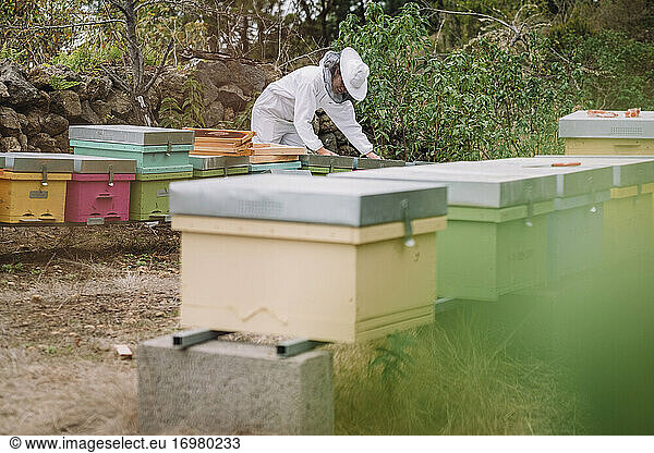 Eine junge Imkerin bei der Arbeit mit Bienen