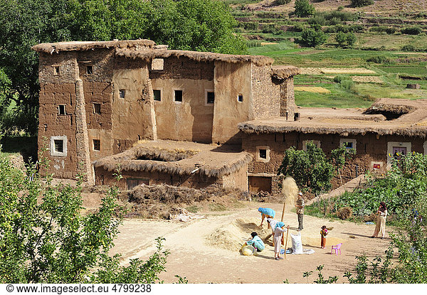 Eine Kasbah  Wohnburg der Berber aus Lehm  auf dem Platz vor der Kasbah wird von den Bewohnern Spreu und Stroh von den Getreidekörnern getrennt  Ait Bouguemez  Hoher Atlas  Marokko  Afrika