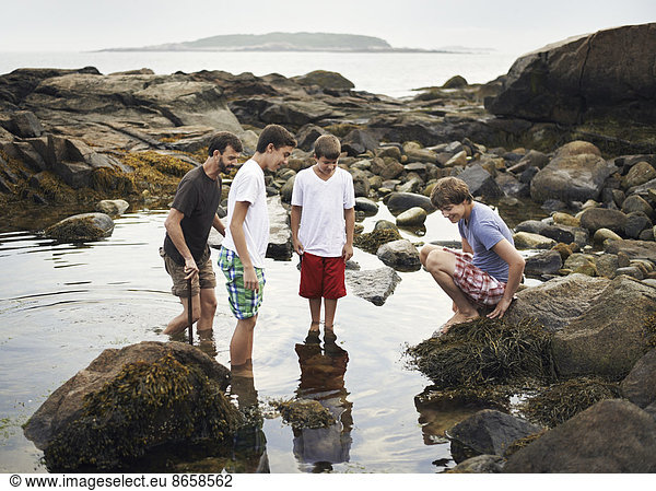 Eine kleine Gruppe von Menschen  die im flachen Wasser stehen  sich an Felsen zusammenschließen und am Strand Meereslebewesen finden.