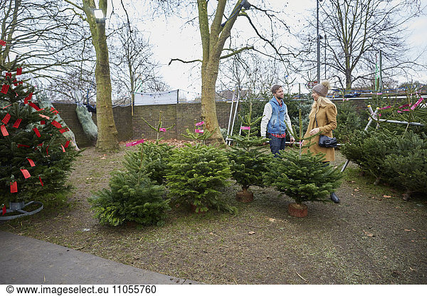 Eine Kundin und Mitarbeiterin wählt einen traditionellen Kiefern- und Weihnachtsbaum.