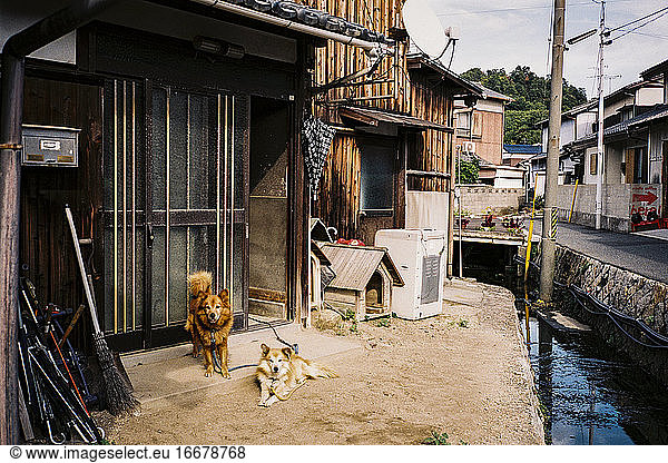 Eine Nachbarschaft der Insel Naoshima in Japan