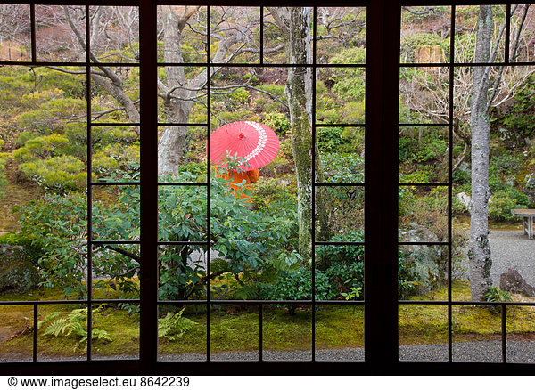 Eine Person steht geschützt durch einen Regenschirm in einem Garten im Innenhof  Kyoto  Japan