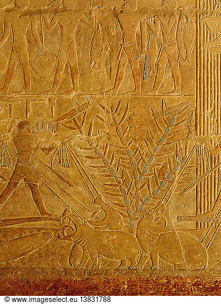 Eine Reliefszene im Grab des Wesirs Mereruka  Ein Papyrusdickicht ist voller Tiere  das Wasser wimmelt von Fischen. Drei bellende Nilpferde werden von Männern in Booten harpuniert. Ägypten. Altägyptisch. 6. Dynastie  ca. 2345 - 2323 v. Chr. Saqqara.