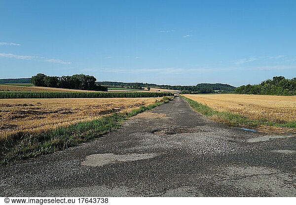 Eine schmale Straße trennt zwei Stoppelfelder voneinander. Die flache hügelige Landschaft lässt einen weiten Blick in die Ferne zu