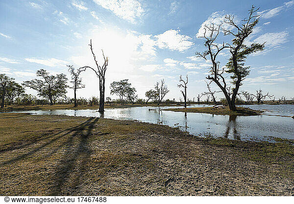 Eine schmale Wasserstraße in der offenen Weite des Okavango-Deltas.