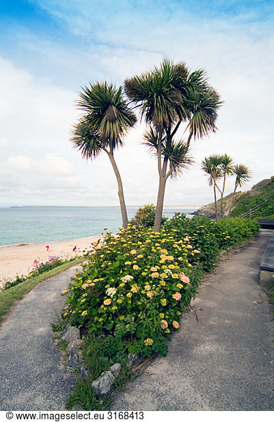 Eine Straße am Strand Cornwall England.