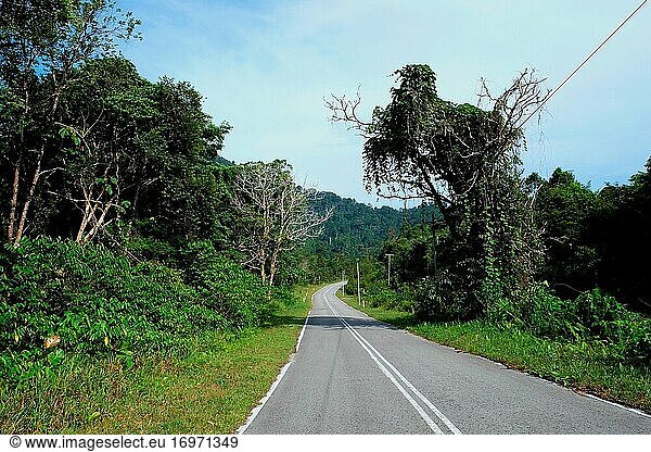 Eine Straße zum Borneo-Hochland  Padawan  Sarawak  Borneo