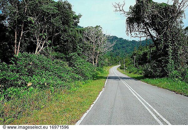 Eine Straße zum Borneo-Hochland  Padawan  Sarawak  Borneo